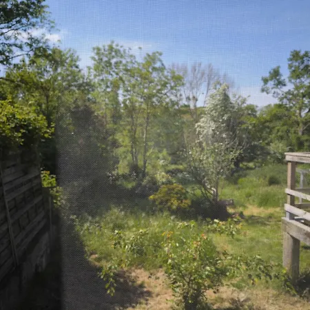 Des Loups Sur Le Jardin *